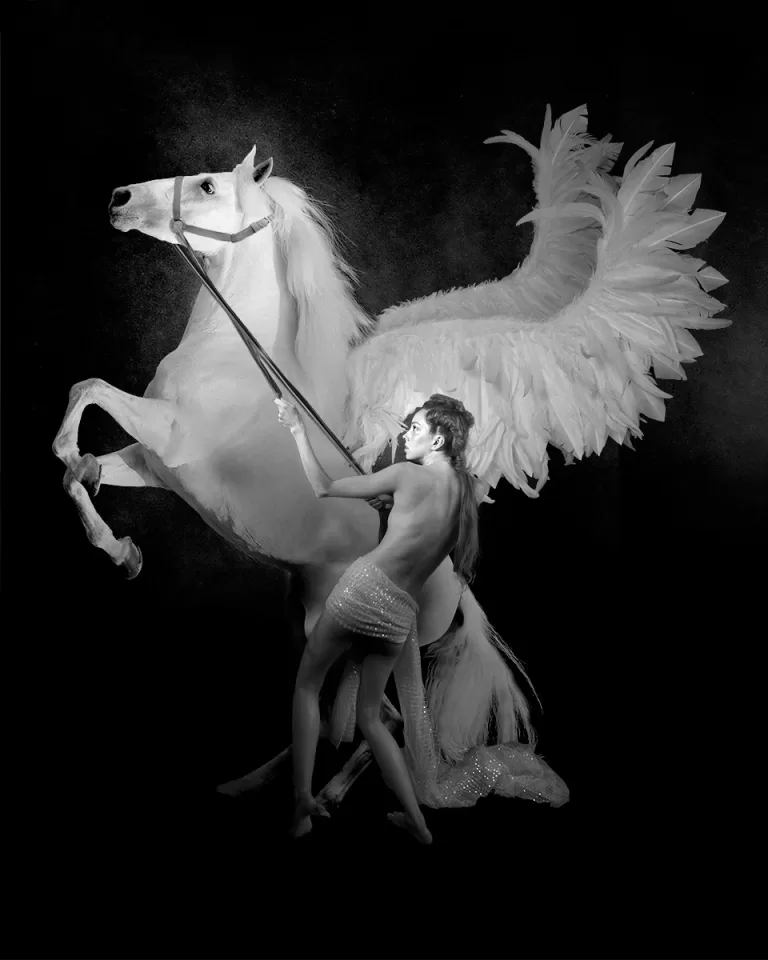 Andromeda Rears Pegasus | Paal Anand