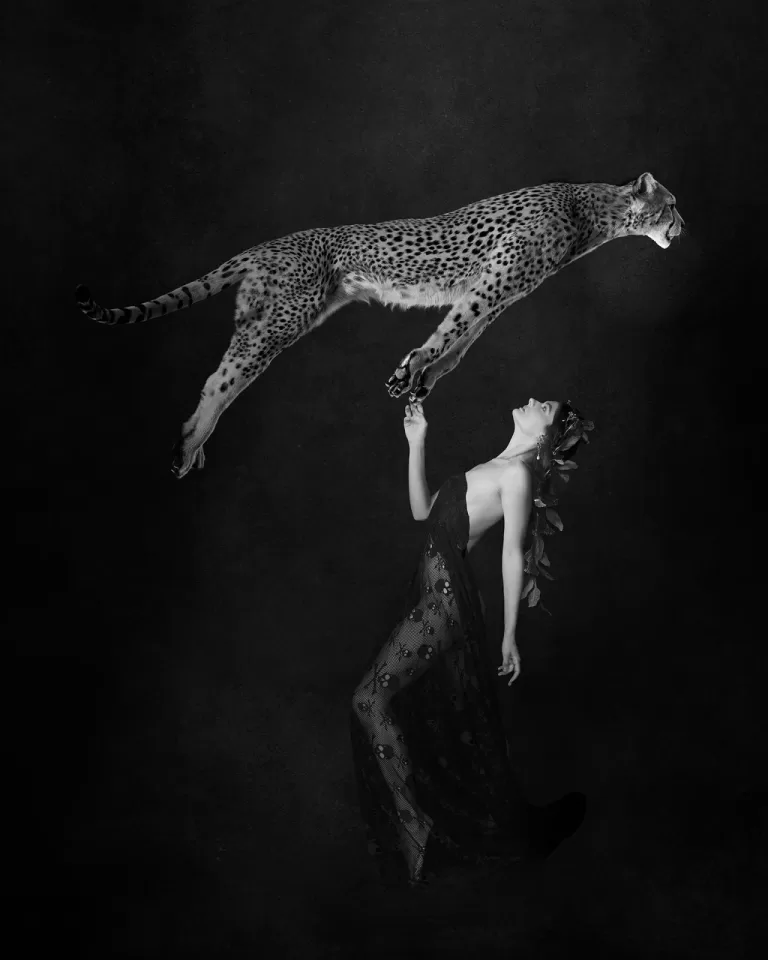 Persephone And The Cheetah Of Dionysus | Paal Anand