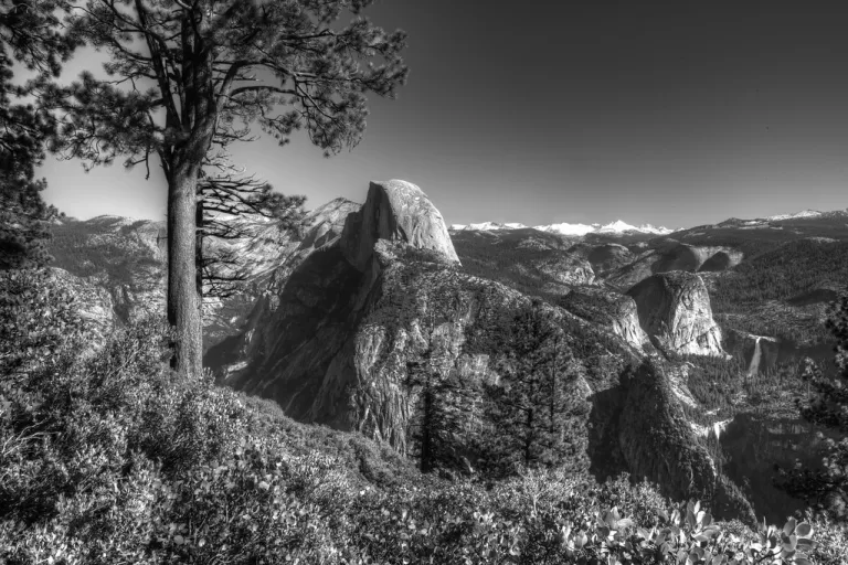 Craig Schoenbaum artwork