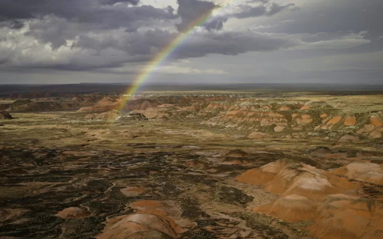 Craig Schoenbaum artwork