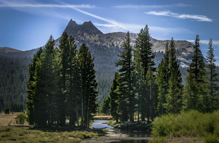 Craig Schoenbaum artwork