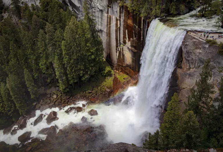 Craig Schoenbaum artwork